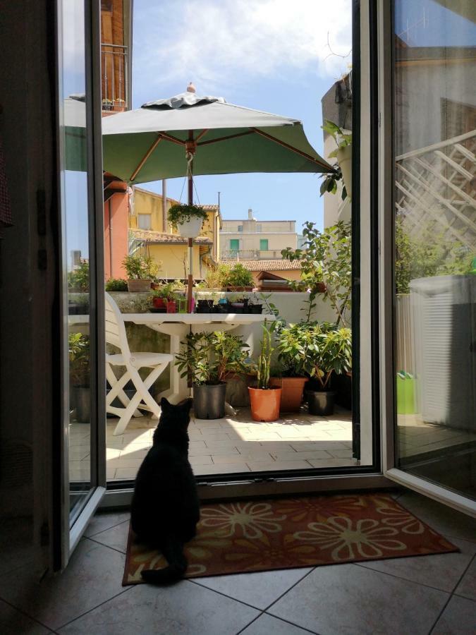 Appartamento La Rondine Pesaro Bagian luar foto